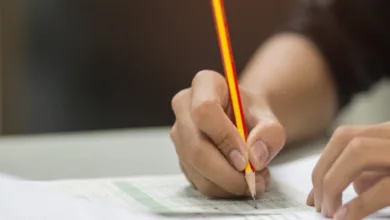 ALES SINAV GİRİŞ BELGESİ SORGULA | 2024-ALES/3 ÖSYM sınav giriş belgesi - ALES sınav yeri öğrenme ve sorgulama ekranı- Belge