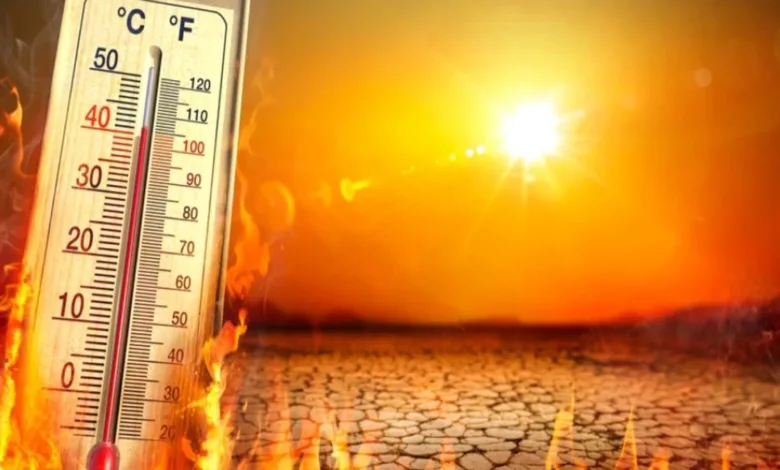 Pastırma sıcakları bu yıl ne zaman? - Pastırma sıcağı nedir, ne demek?- Trabzonspor