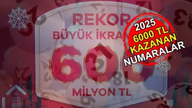 Milli Piyango 6000 TL kazanan numaralar 2025 | Çeyrek, yarım, tam bilet 5 bilenler sıralı tam liste- Numaralar