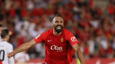 Vedat hazır kıta- Vedat