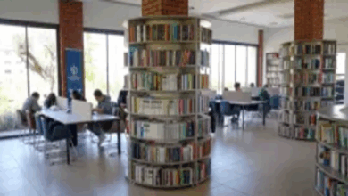 1 Mayıs'ta kütüphaneler açık mı? | 1 Mayıs Millet Kütüphanesi açık mı? KÜTÜPHANE ÇALIŞMA SAATLERİ 2025- Trabzonspor