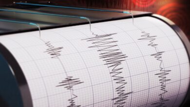 İstanbul'da korkutan deprem: Bu kez Adalar sallandı! 2 Mayıs İstanbul deprem- Trabzonspor