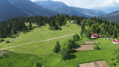 5 Temmuz’da koşuya- Trabzonspor