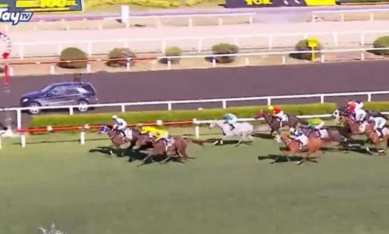 CANLI | 99. Gazi Koşusu 2025 heyecanı | İşte yarışın kazananı (TAY TV - Hipodrom.com yarış özeti)- Trabzonspor