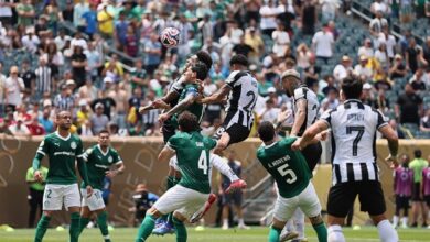 Palmeiras 1-0 Botafogo (MAÇ SONUCU ÖZET) | FIFA Kulüpler Dünya Kupası- Trabzonspor
