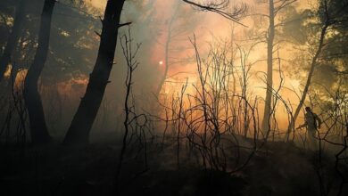 İzmir hava durumu 4 Temmuz | Yangın riski devam edecek mi? İzmir'de yağmur bekleniyor mu?- Trabzonspor