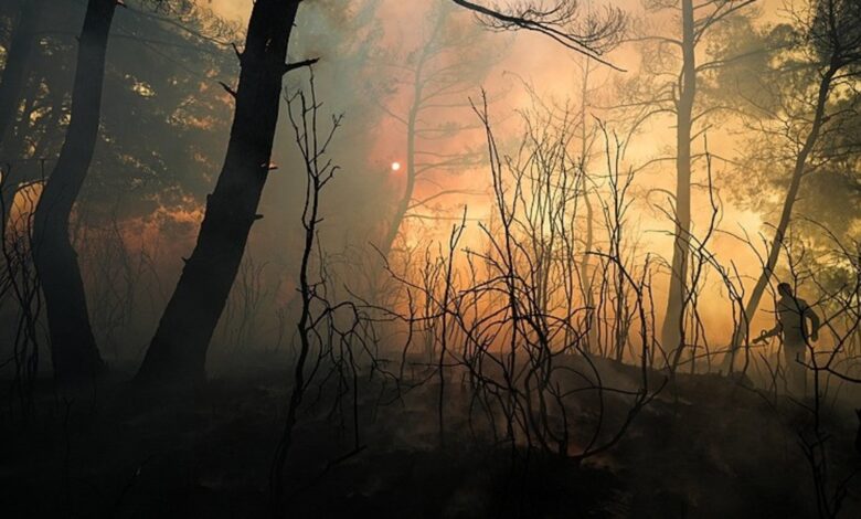 İzmir hava durumu 4 Temmuz | Yangın riski devam edecek mi? İzmir'de yağmur bekleniyor mu?- Trabzonspor