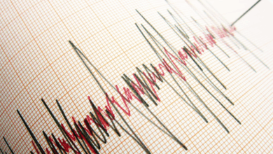 İzmir'de deprem mi oldu? İzmir'de kaç şiddetinde deprem oldu? Hangi iller hisseti? AFAD, Kandilli Rasathanesi son depremler…- Trabzonspor