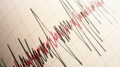 Manisa'da deprem mi oldu? Manisa'da kaç şiddetinde deprem oldu? Hangi iller hissetti? AFAD ve Kandilli son depremler- Trabzonspor