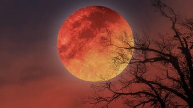 7 Eylül 2025 balık burcunda kanlı ay tutulması! Hangi burçlar nasıl etkilenecek?- Konular