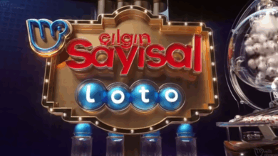 15 EKİM SAYISAL LOTO SONUÇLARI💥Çılgın Sayısal Loto çekiliş sonuçları açıklandı! Çılgın Sayısal Loto çekilişi nasıl sorgulanır? (MPİ sorgulama ekranı)- Numaralar