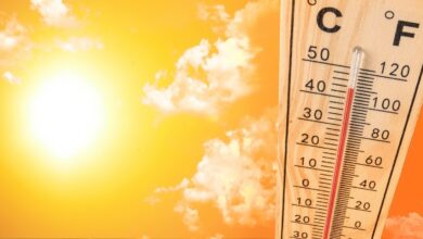 Pastırma sıcakları ne zaman başlıyor? Pastırma sıcakları hangi ayda olur, ne kadar sürer?- Süre