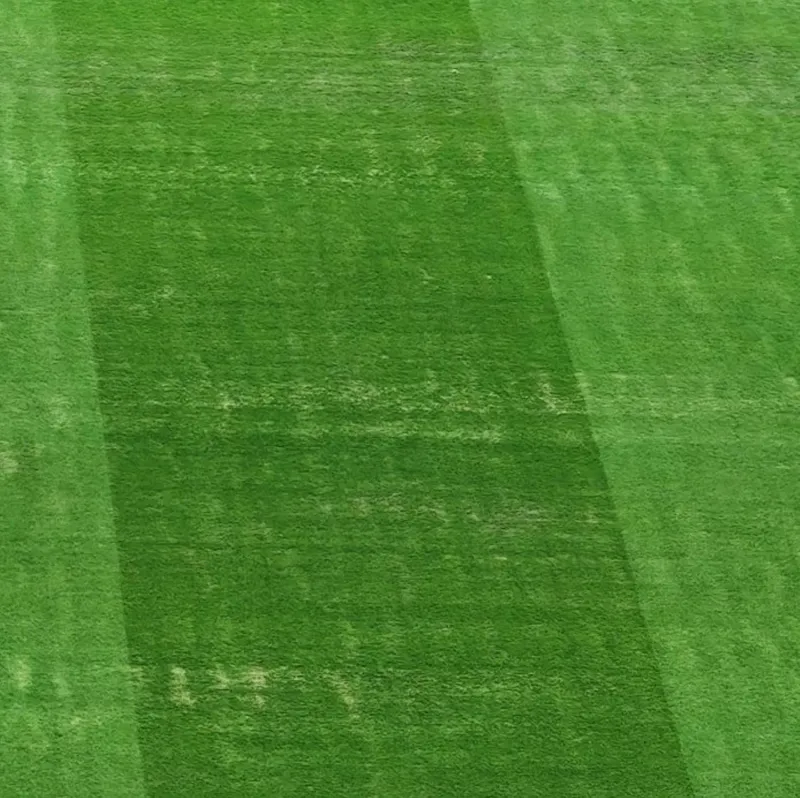 Dev derbi öncesi dikkat çeken görüntü! RAMS Park'ın tabanı... 5 Dev derbi öncesi dikkat çeken görüntü! RAMS Park'ın tabanı...